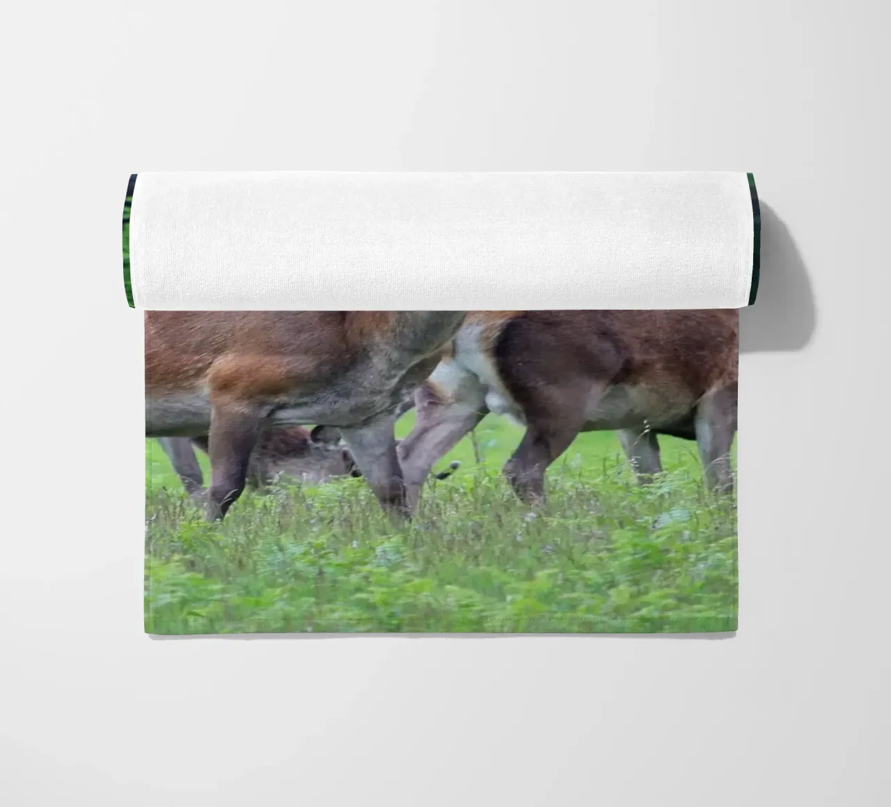 Cervi al pascolo in un prato telo mare da Jack C Photography