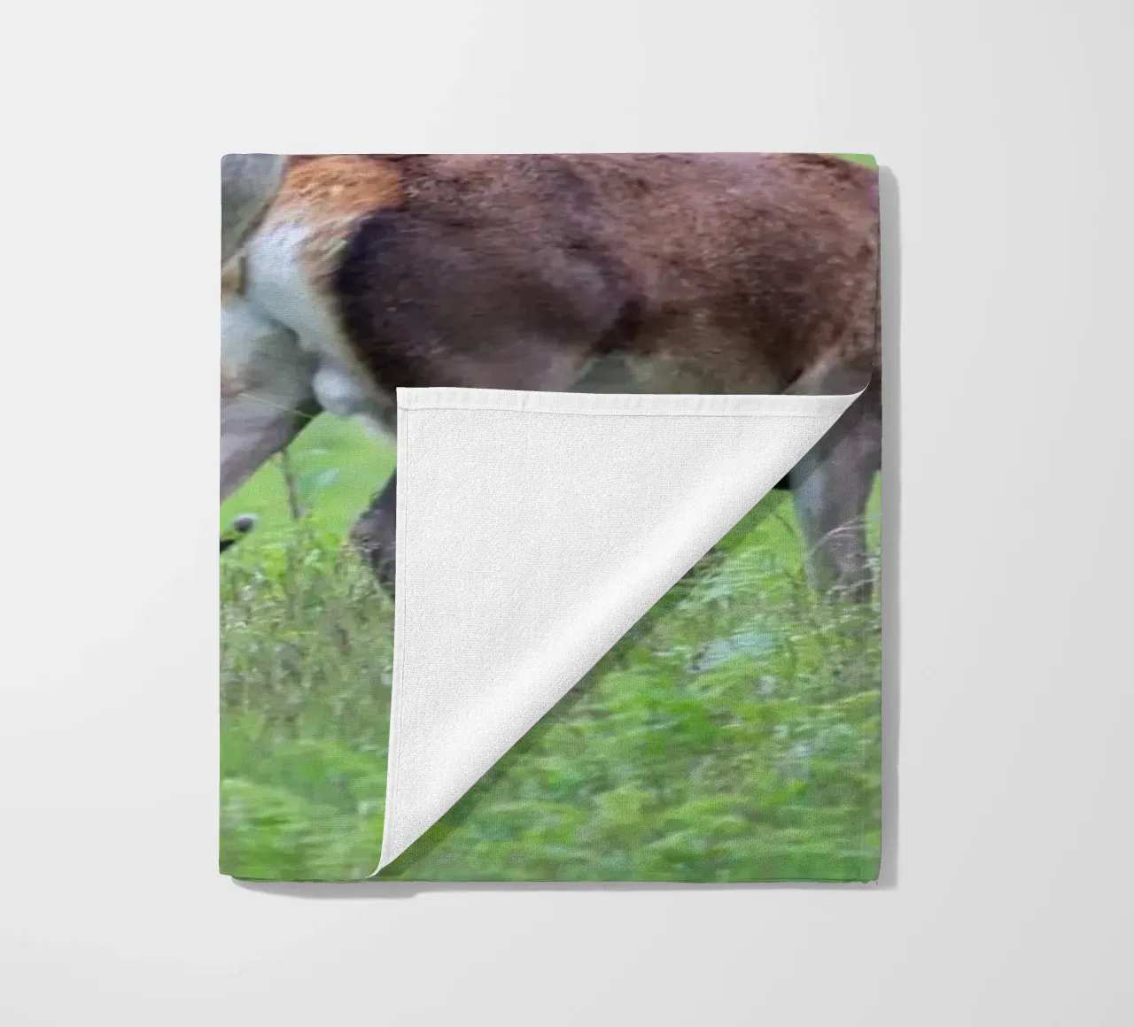 Cervi al pascolo in un prato telo mare da Jack C Photography