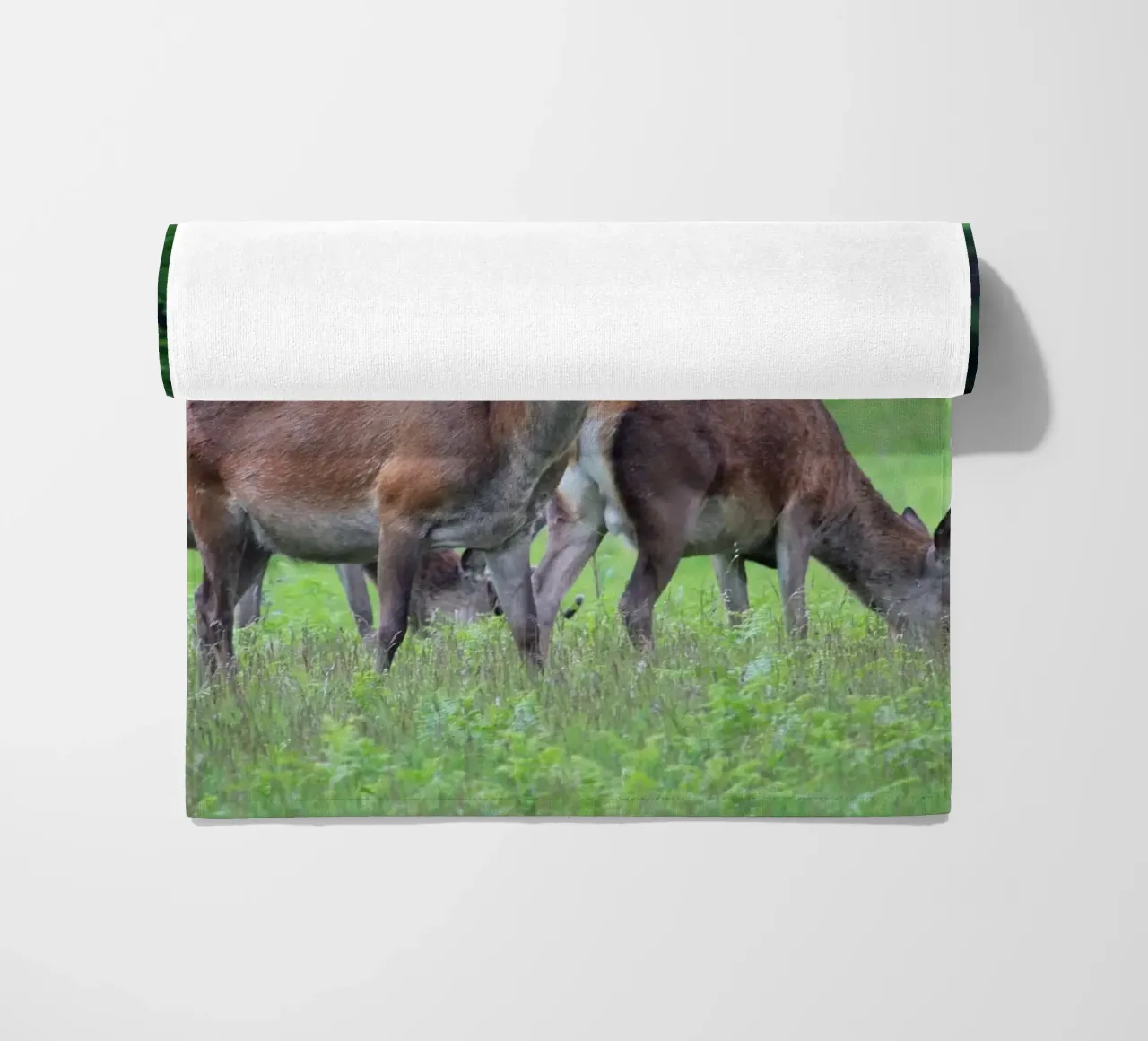 Cervi al pascolo in un prato telo mare da Jack C Photography