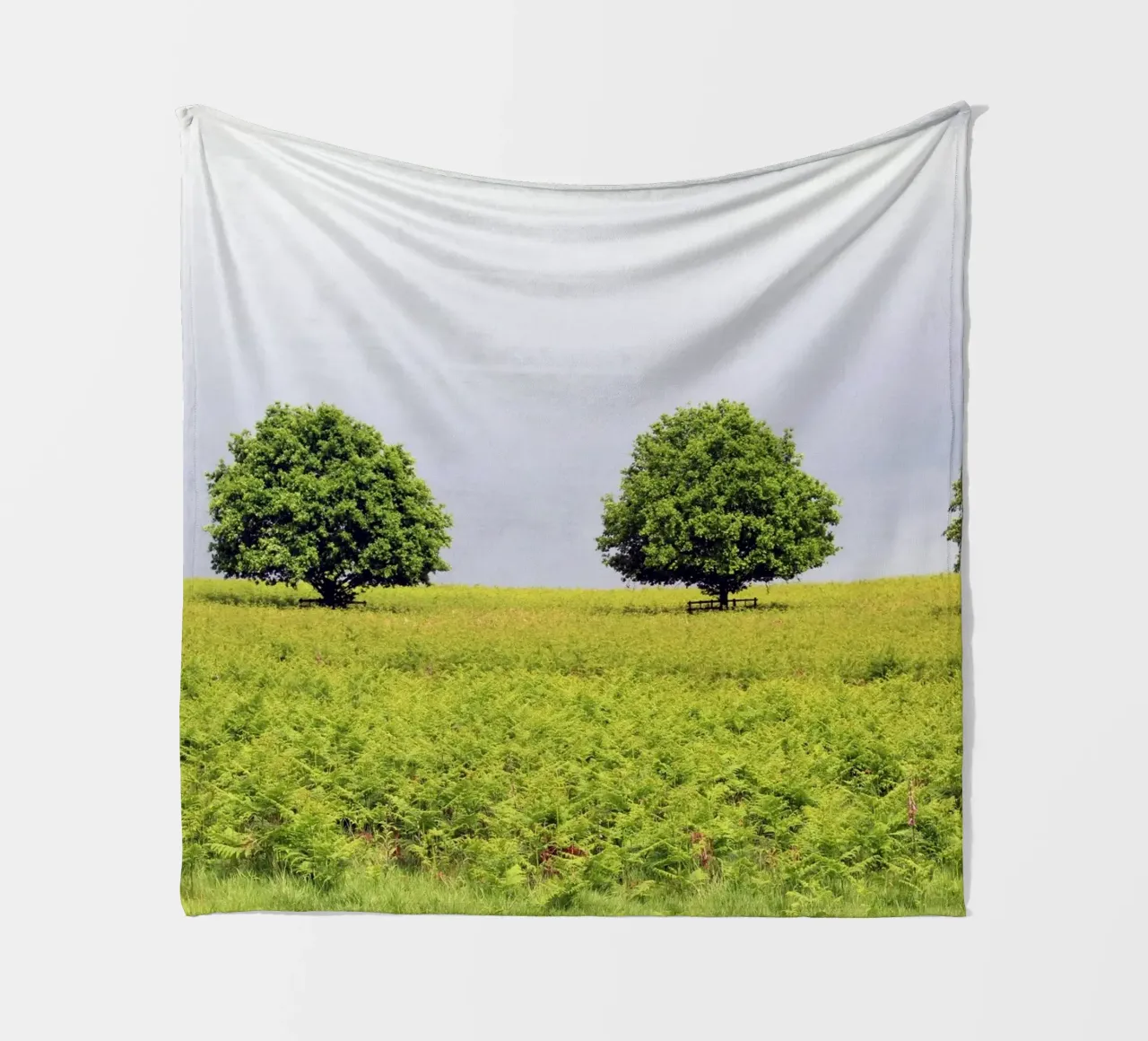 Trees in a Field of Ferns under a Grey Sky fleece blanket by Jack C Photography