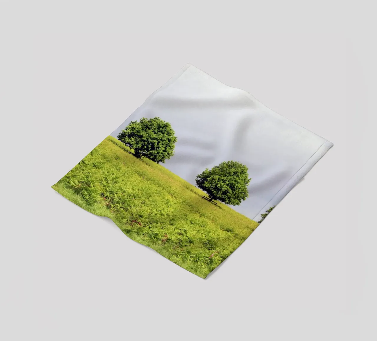 Trees in a Field of Ferns under a Grey Sky fleece blanket by Jack C Photography