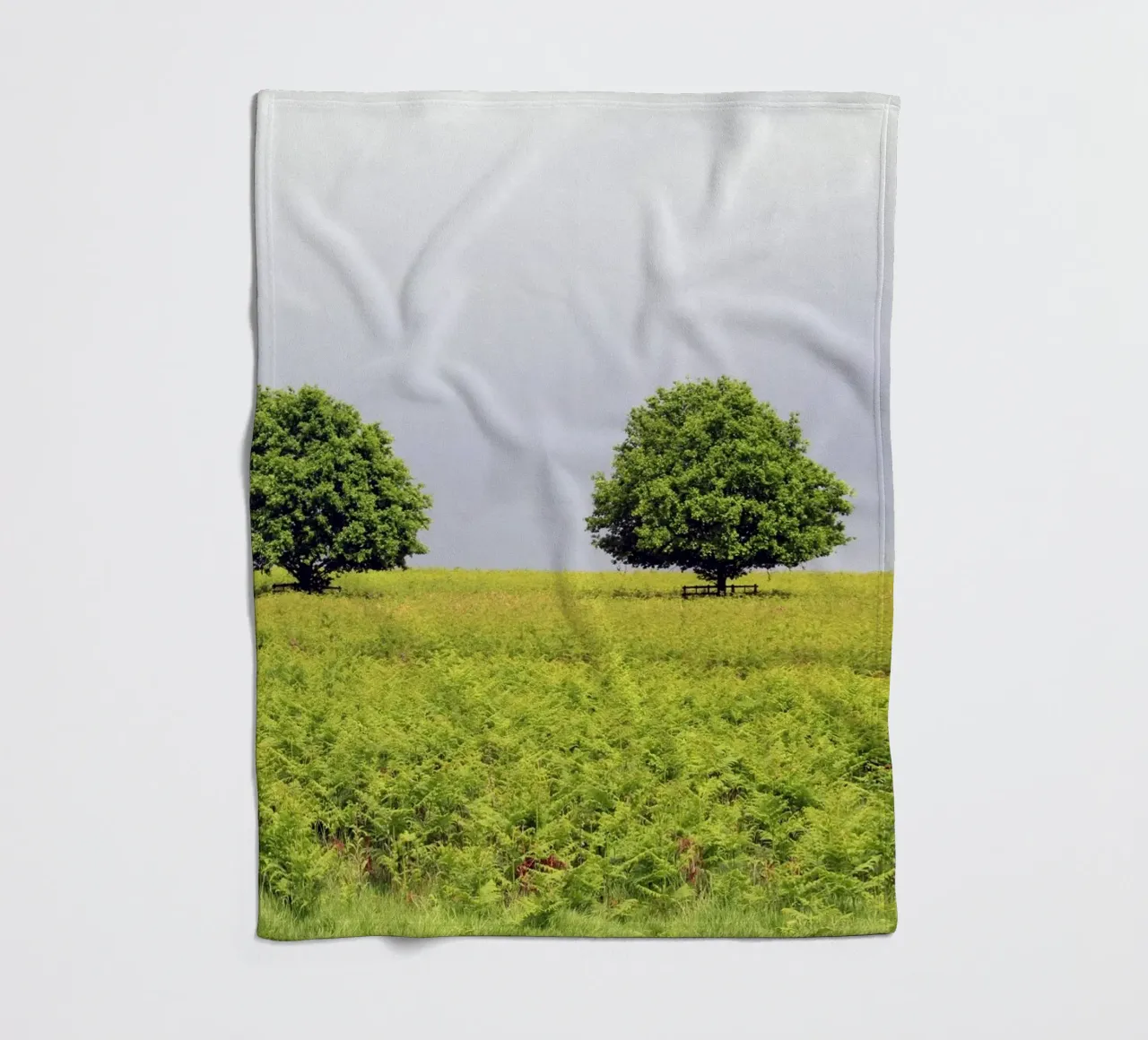 Trees in a Field of Ferns under a Grey Sky fleece blanket by Jack C Photography