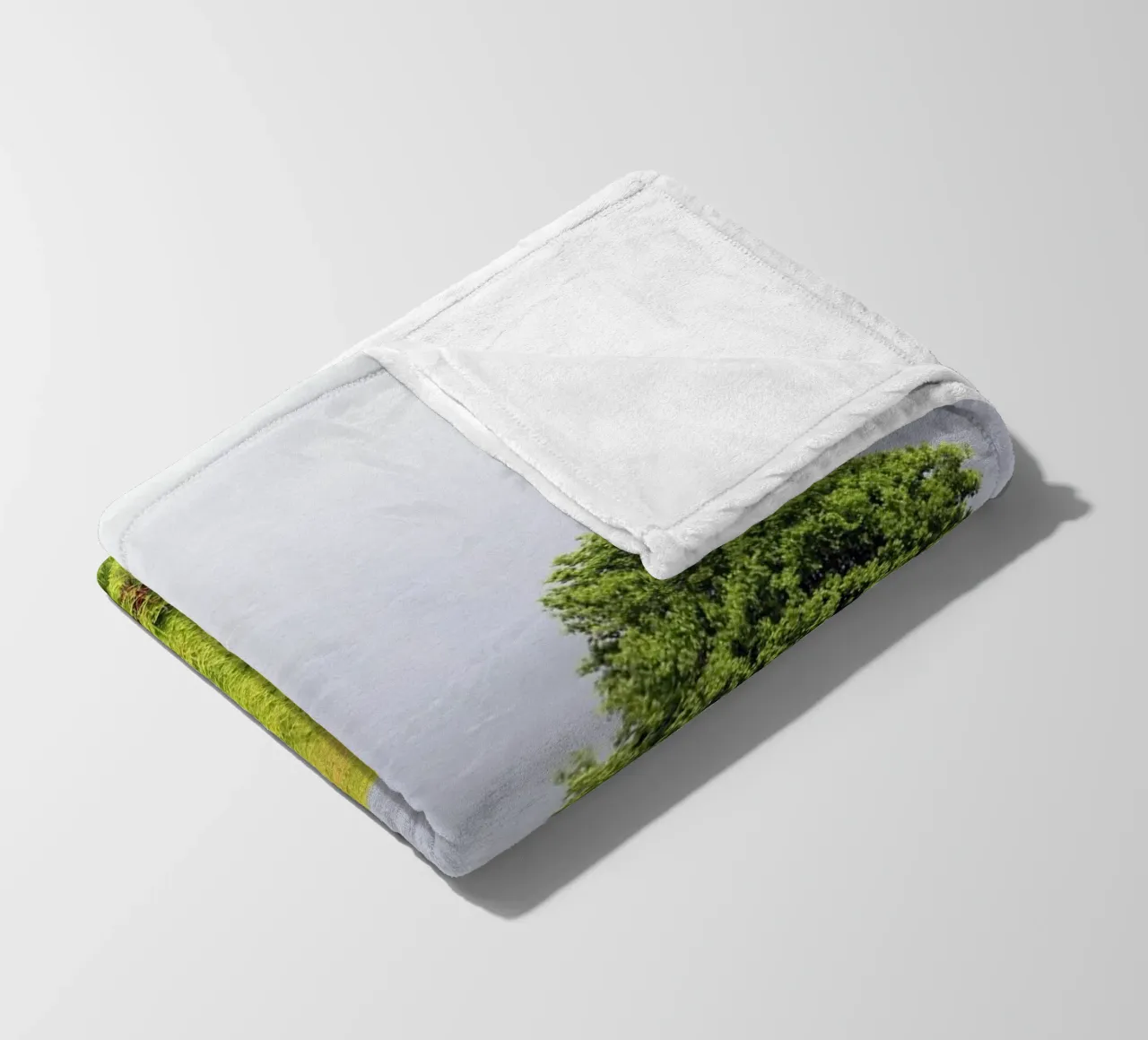 Trees in a Field of Ferns under a Grey Sky fleece blanket by Jack C Photography