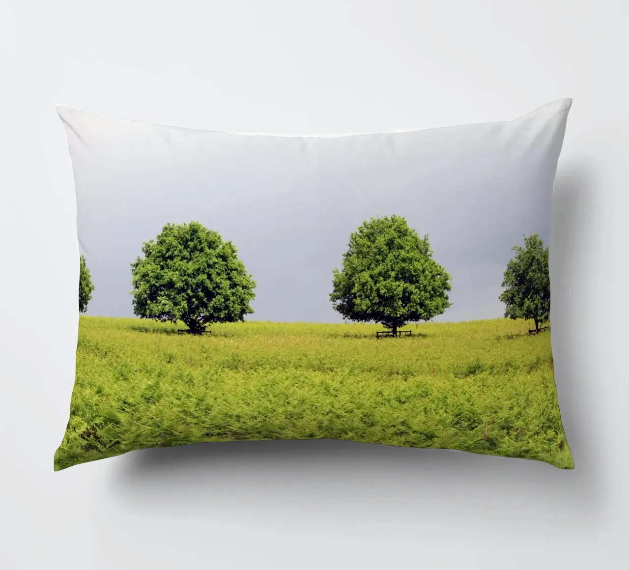 Alberi in un campo di felci sotto un cielo grigio cuscino da Jack C Photography