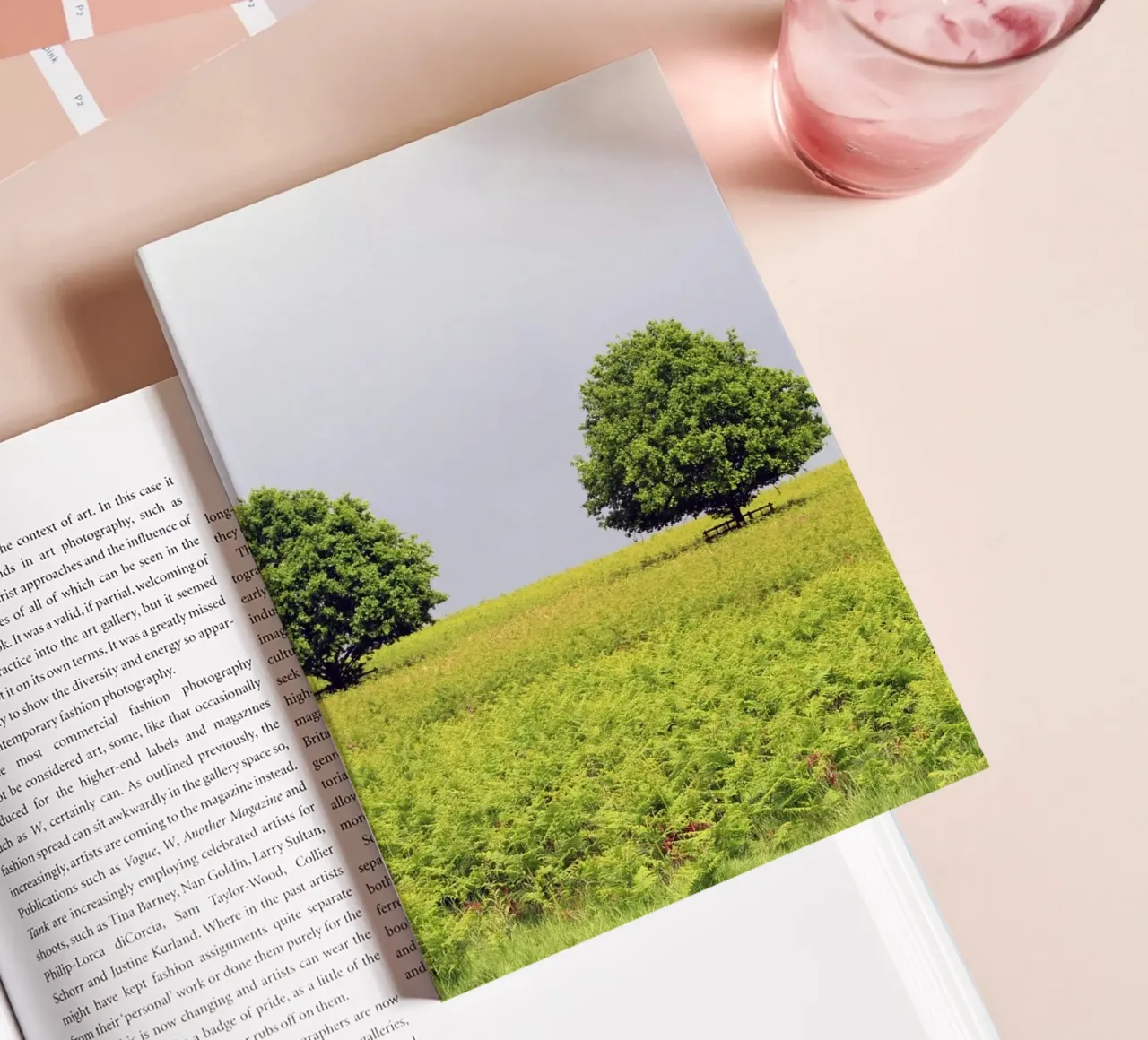 Alberi in un campo di felci sotto un cielo grigio diario da Jack C Photography