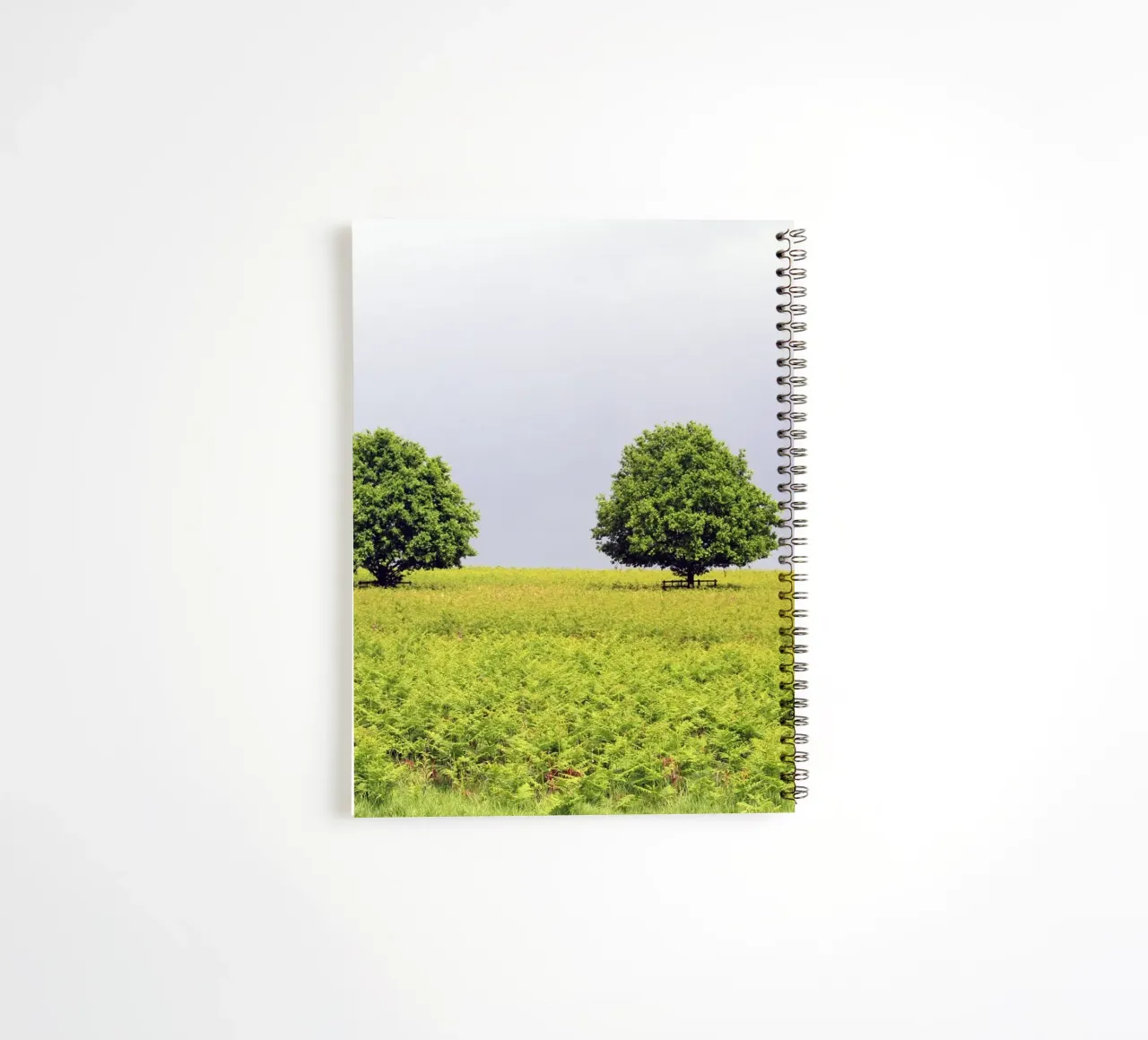 Trees in a Field of Ferns under a Grey Sky spiral notebook by Jack C Photography