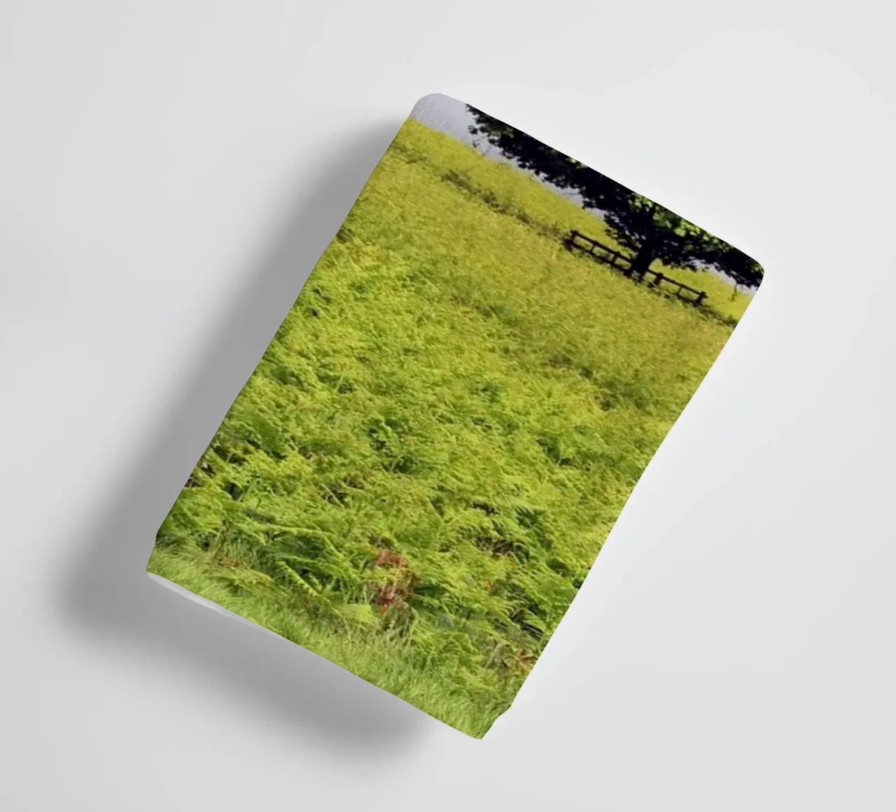 Trees in a Field of Ferns under a Grey Sky towel by Jack C Photography