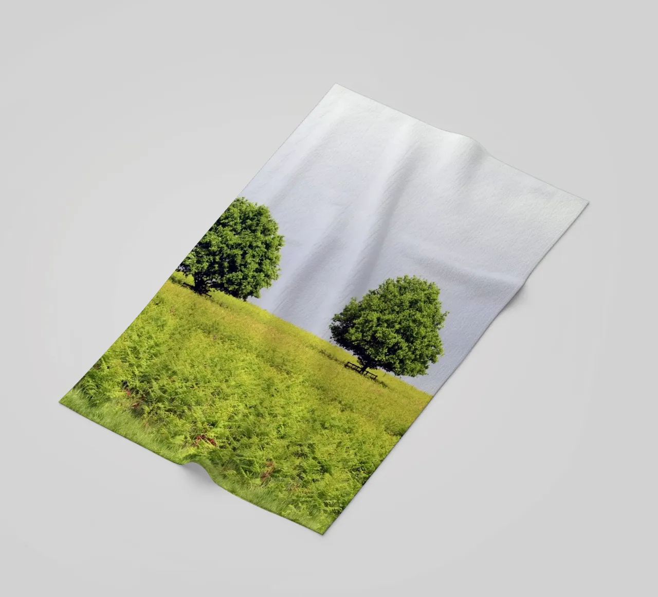Trees in a Field of Ferns under a Grey Sky beach towel by Jack C Photography
