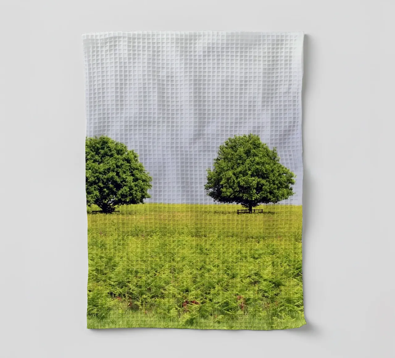 Alberi in un campo di felci sotto un cielo grigio canovaccio da cucina da Jack C Photography