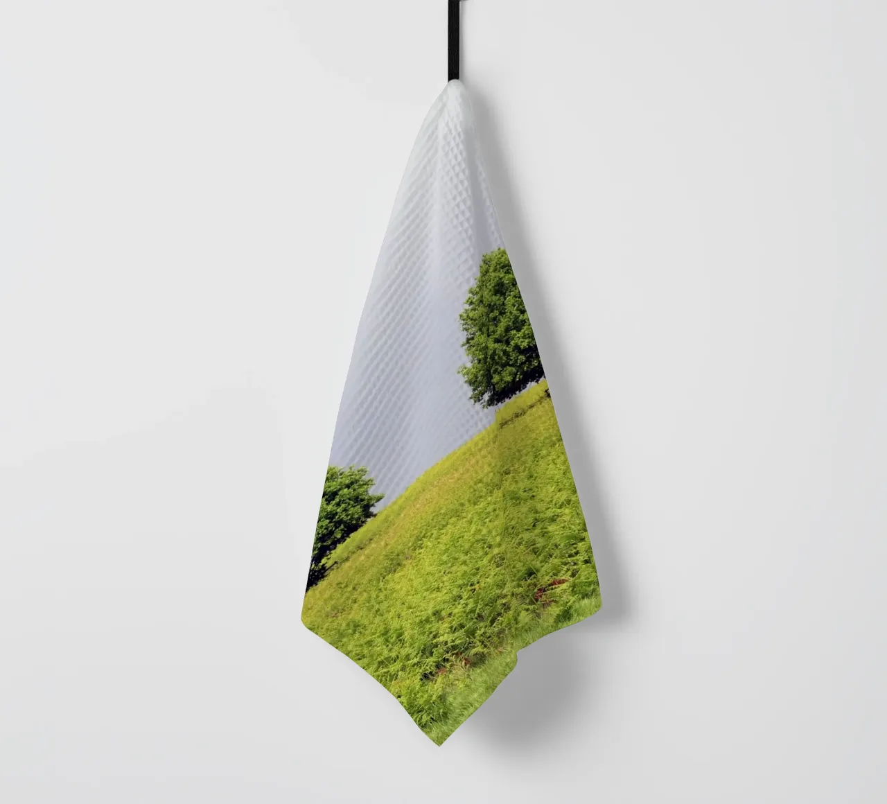 Alberi in un campo di felci sotto un cielo grigio canovaccio da cucina da Jack C Photography