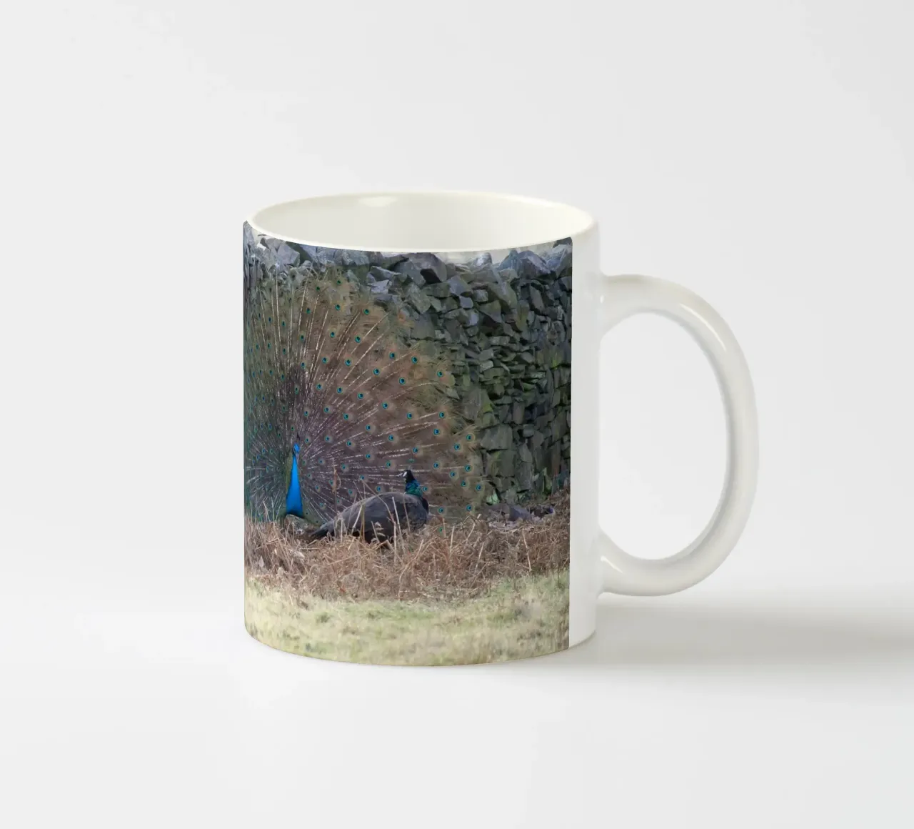 Pavoni che mostrano le loro piume tazza in ceramica da Jack C Photography