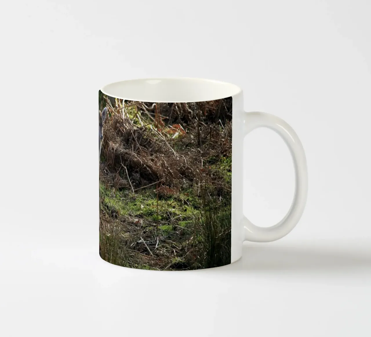 Baby Deer Turning to Look Back ceramic mug by Jack C Photography