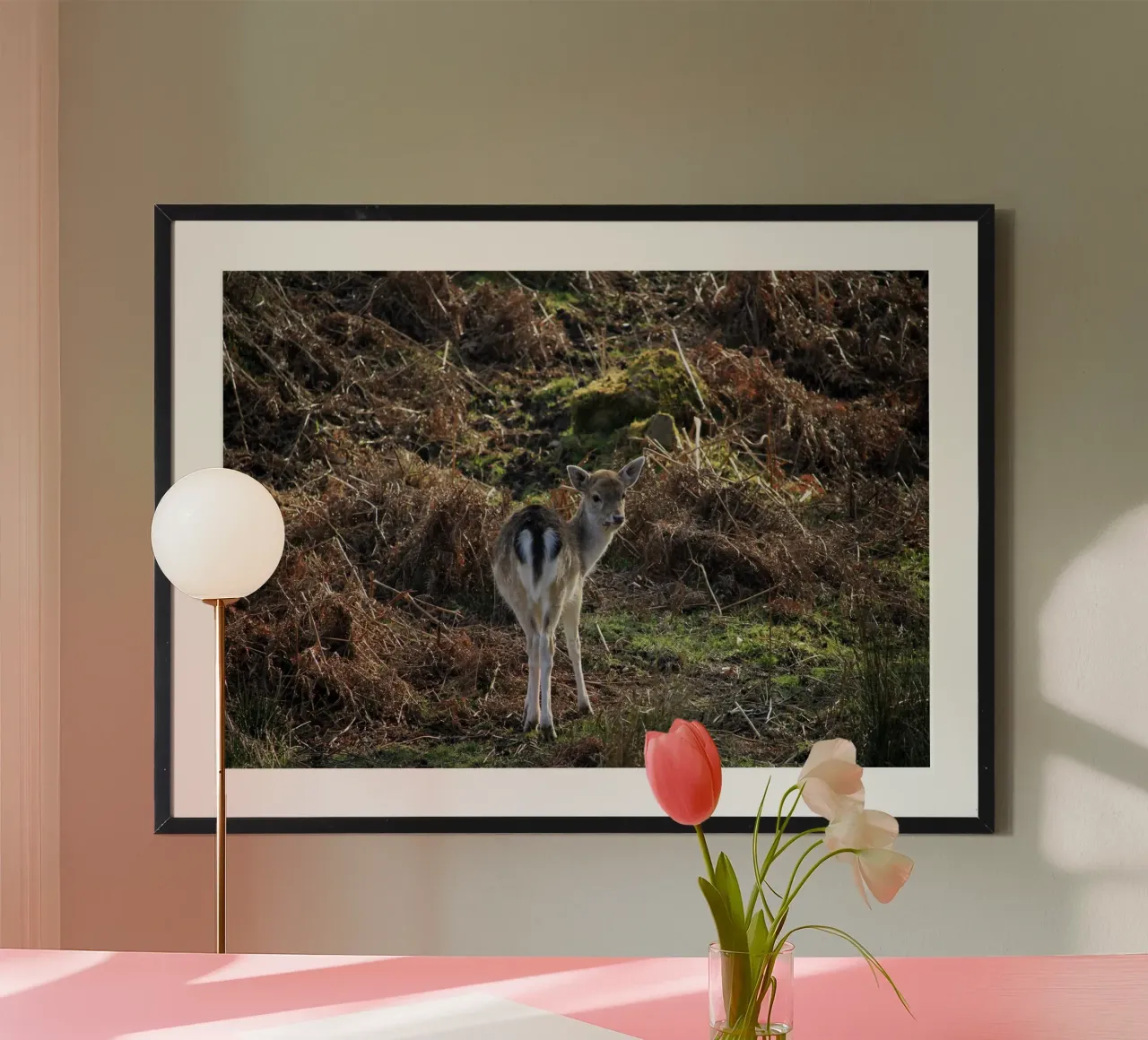 Baby-Hirsch, der sich umdreht und zurückschaut Poster von Jack C Photography