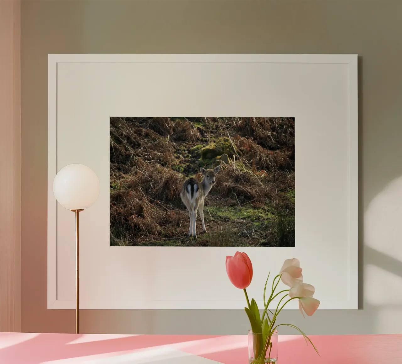 Baby-Hirsch, der sich umdreht und zurückschaut Poster von Jack C Photography