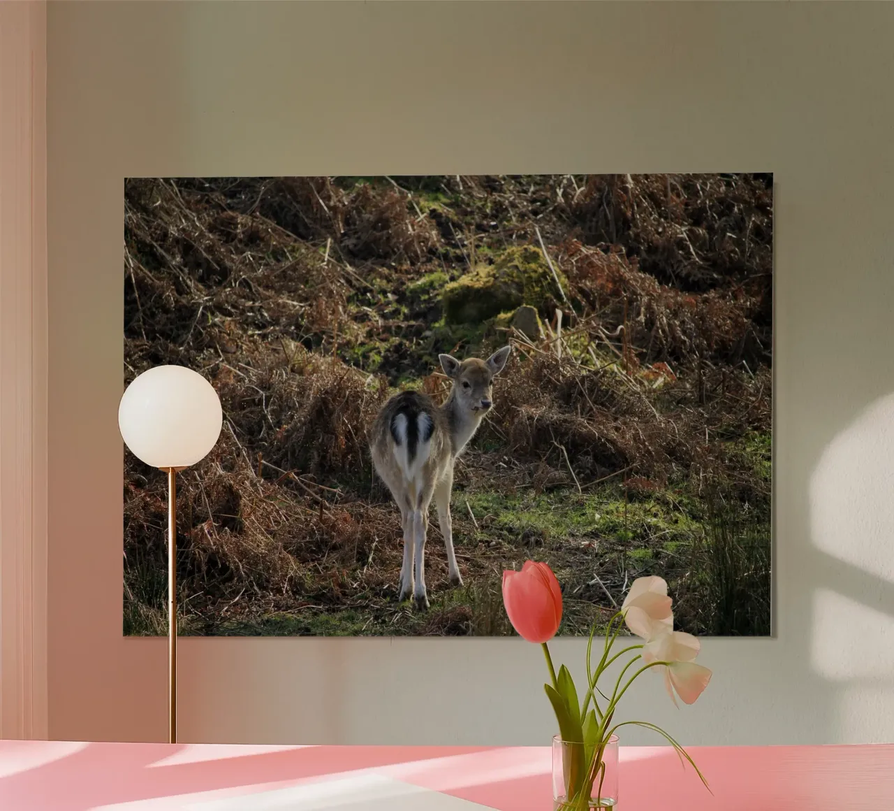 Baby-Hirsch, der sich umdreht und zurückschaut Poster von Jack C Photography