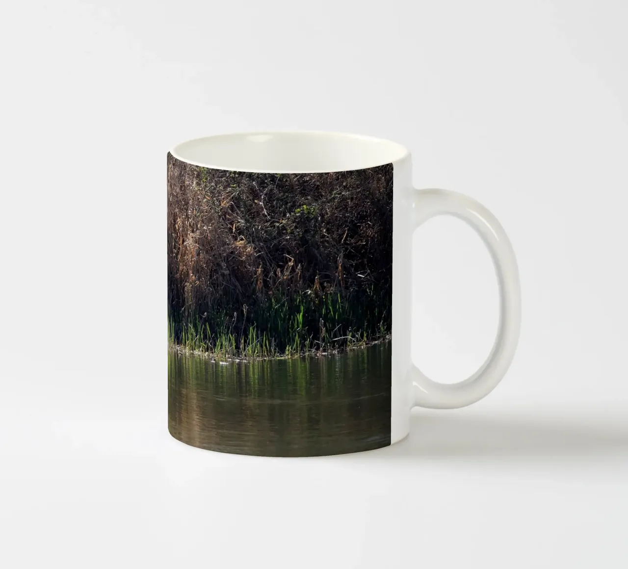 Airone bianco in bilico tra i canneti tazza in ceramica da Jack C Photography