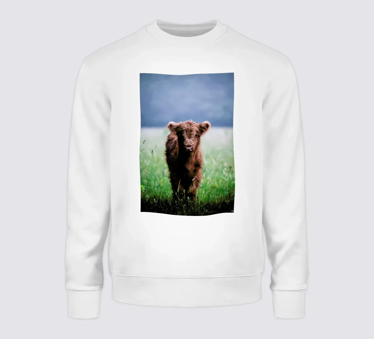 Highland Calf II sweatshirt van Natural Kingdom