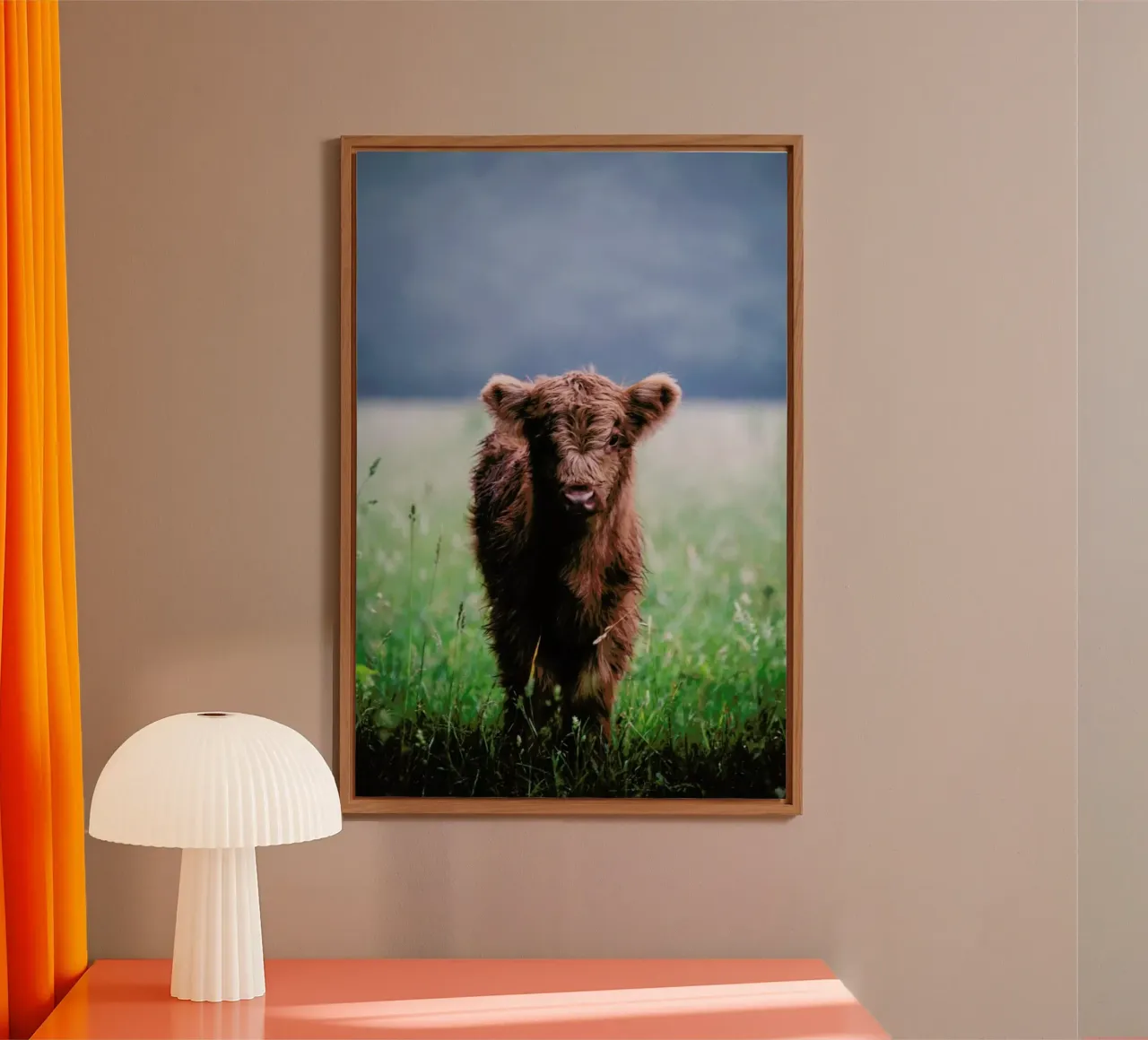 Highland Calf II alu-dibond by Natural Kingdom