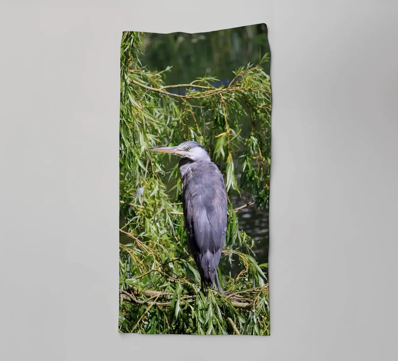 Heron in a Willow Tree at the Lake towel by Jack C Photography