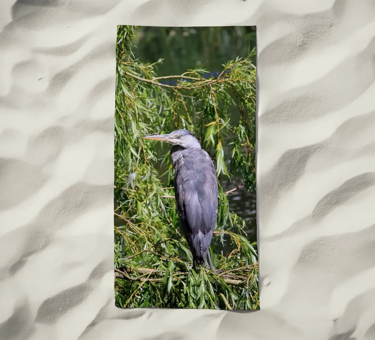 Heron in a Willow Tree at the Lake beach towel by Jack C Photography