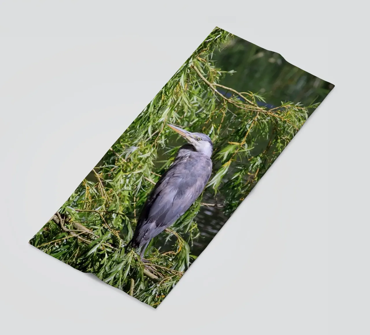 Heron in a Willow Tree at the Lake beach towel by Jack C Photography