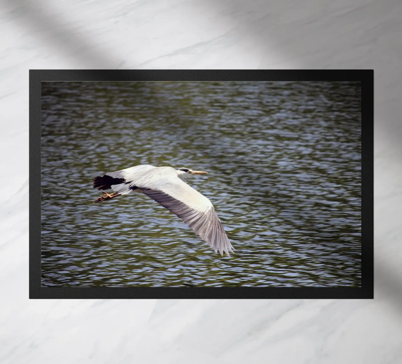 Airone in volo sull'acqua zerbino da Jack C Photography