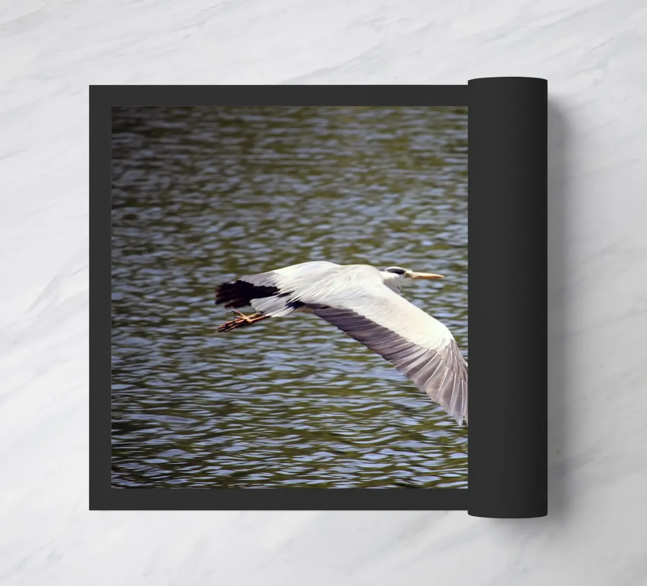 Airone in volo sull'acqua zerbino da Jack C Photography