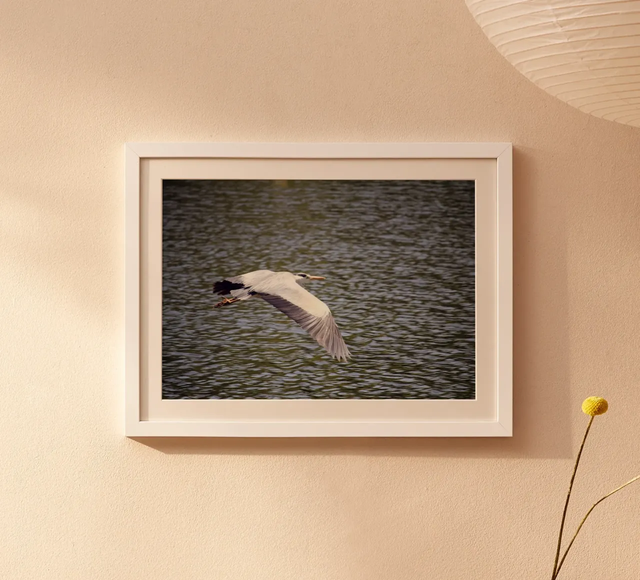 Airone in volo sull'acqua poster da Jack C Photography