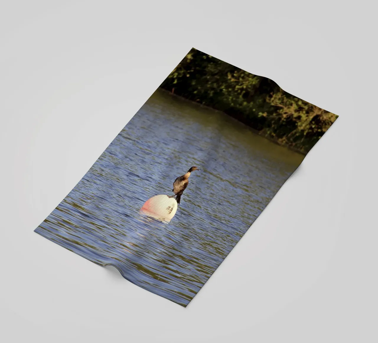 Cormorant Perched on a Buoy in the Lake beach towel by Jack C Photography