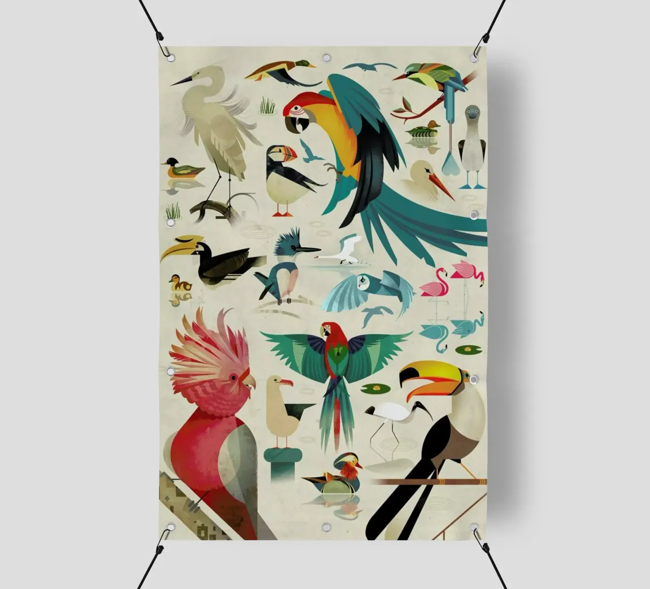 Birds telo in pvc da Dieter Braun