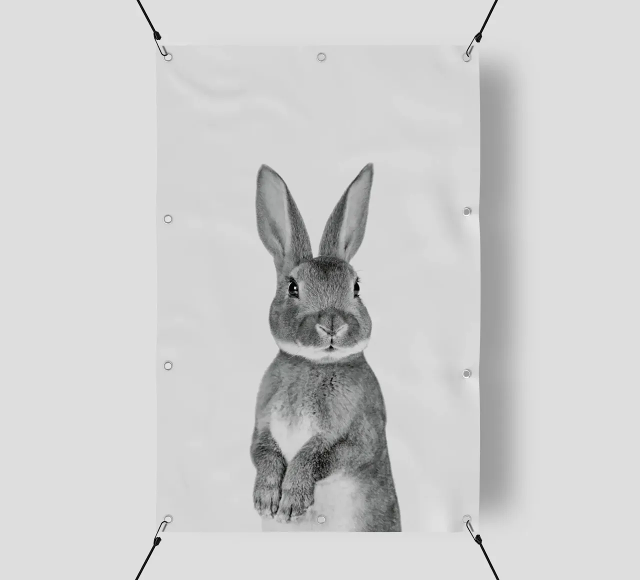 Paws & Claws	Bunny telo in pvc da Paws & Claws