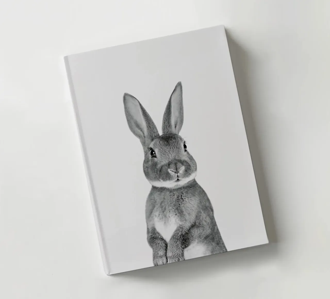 Paws & Claws	Bunny notebook by Paws & Claws