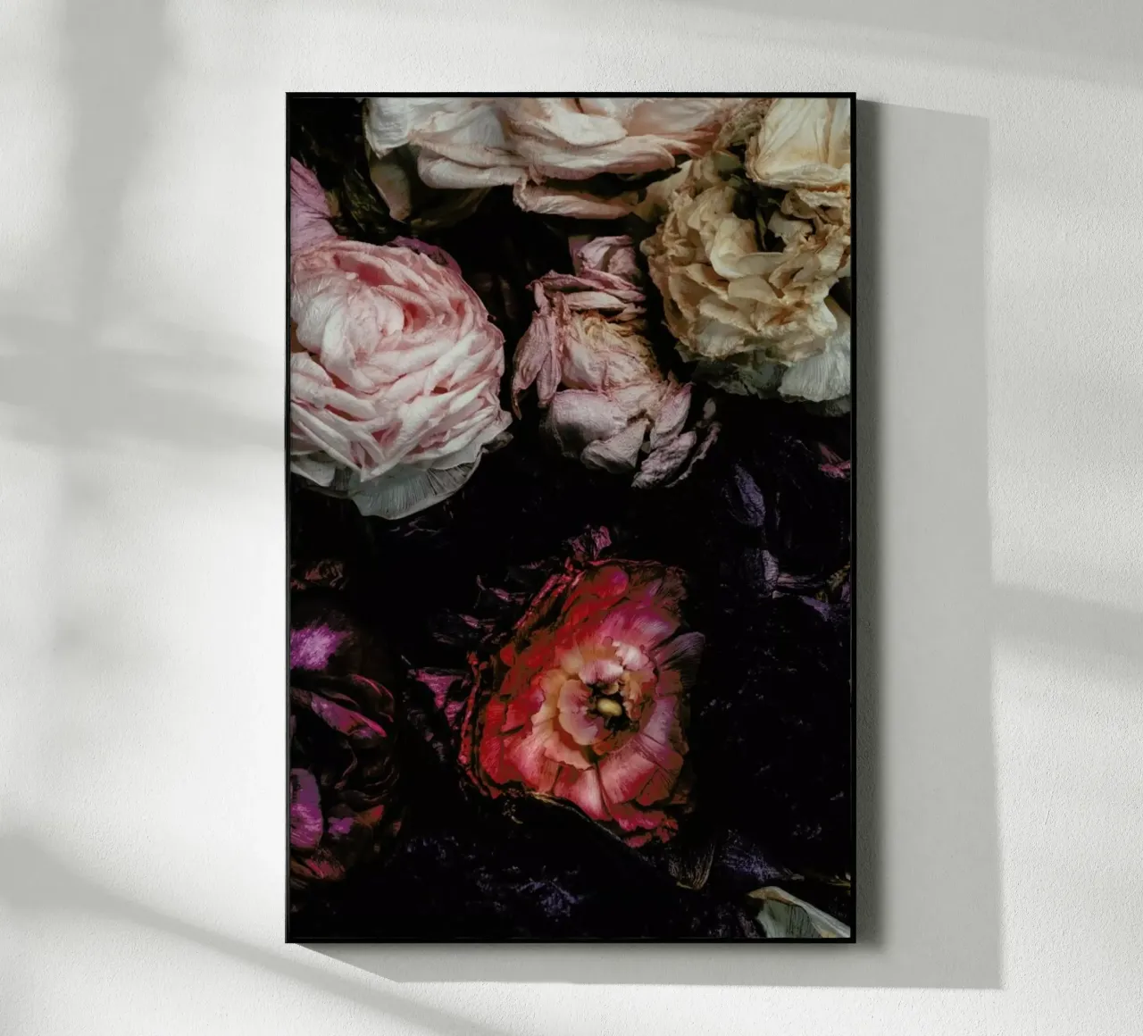 Ranunculus No 11 plexiglass da Leigh Viner