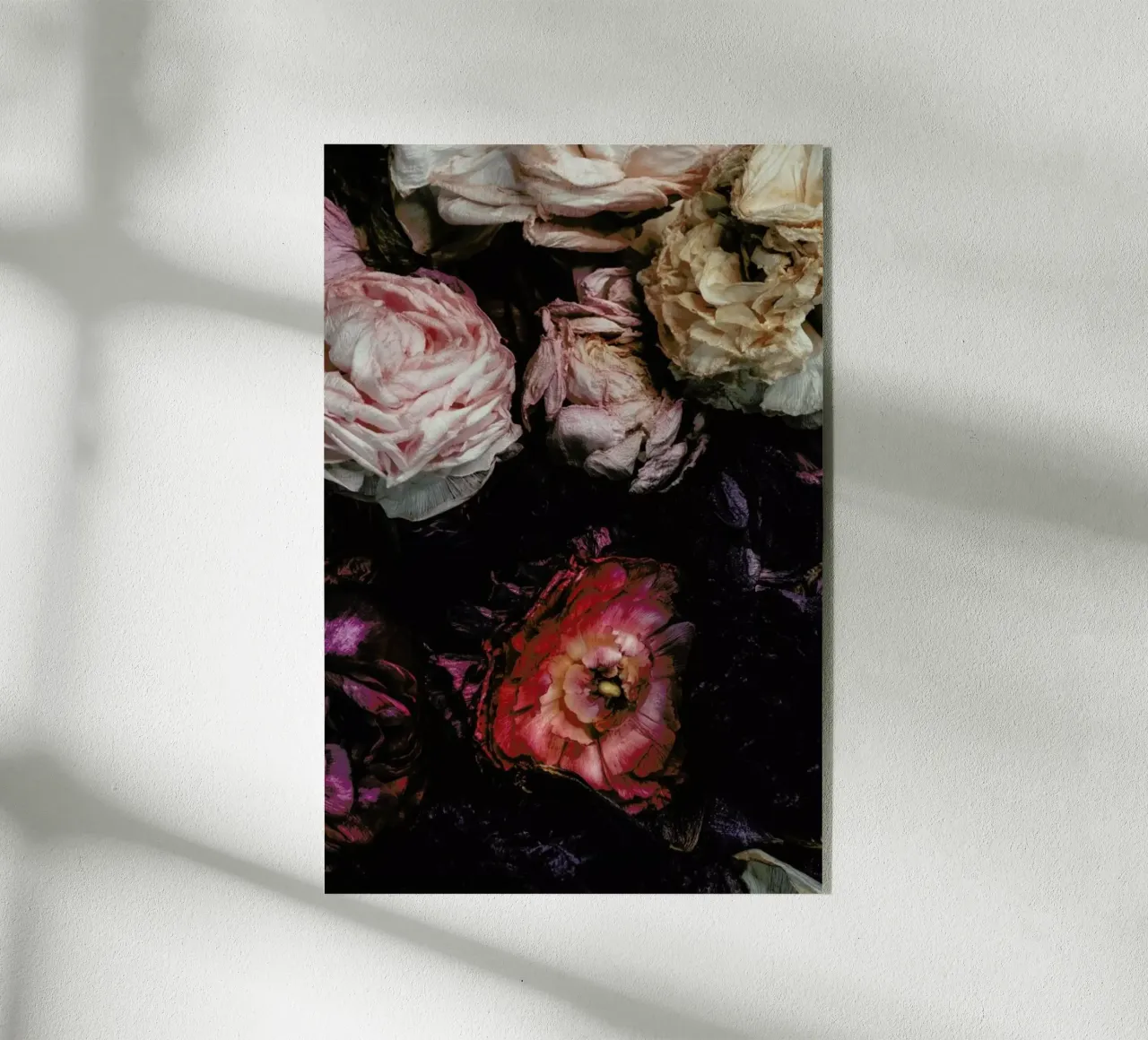 Ranunculus No 11 plexiglass da Leigh Viner