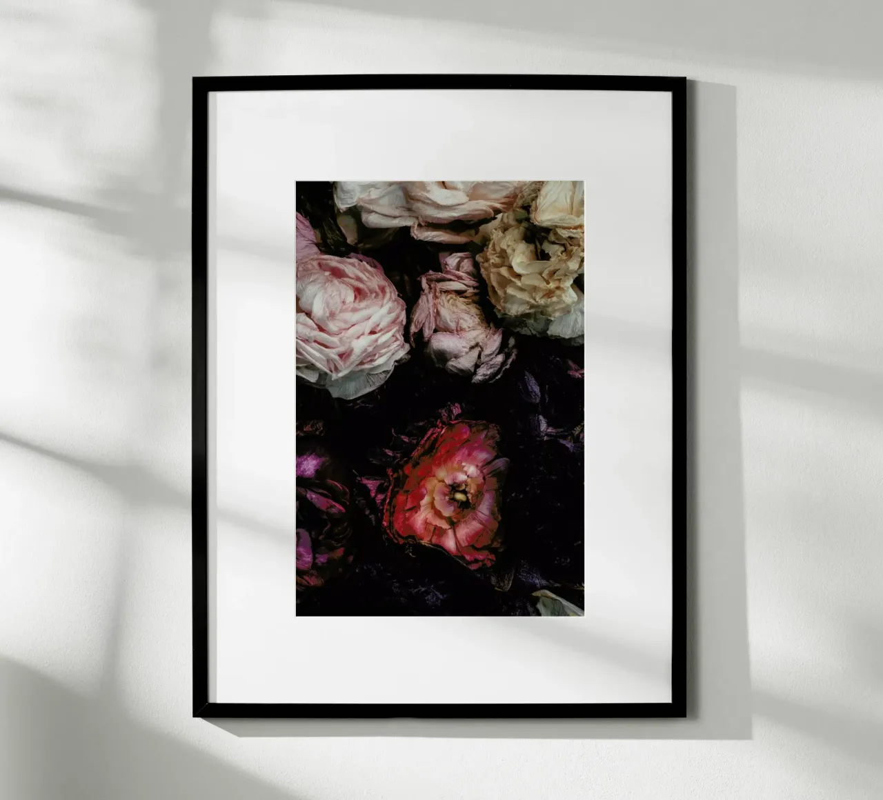 Ranunculus No 11 poster con telaio in plastica da Leigh Viner