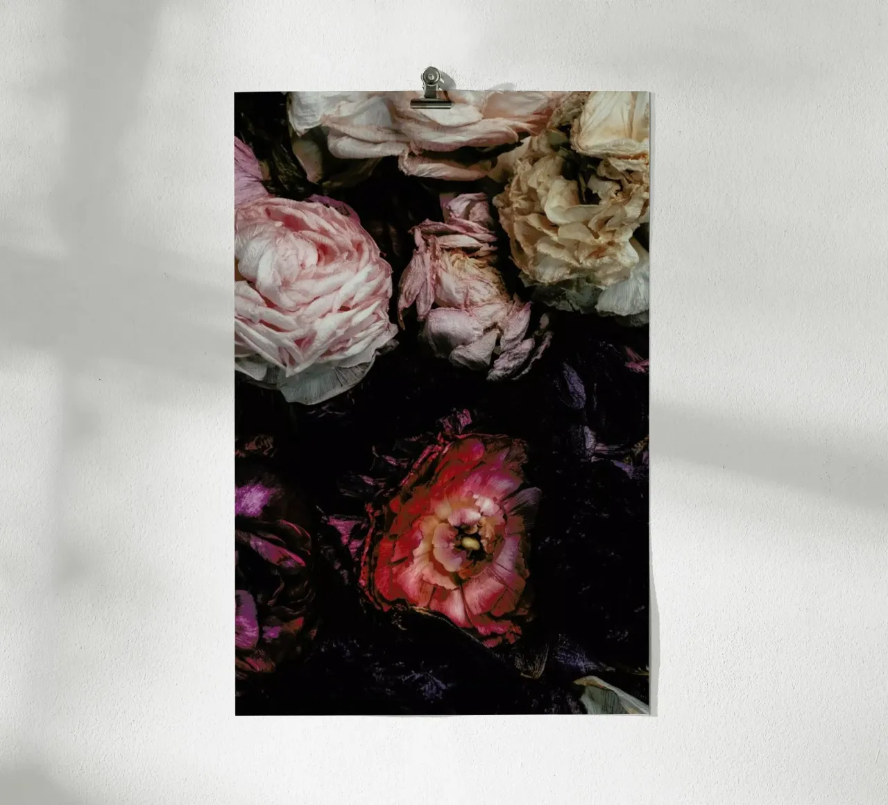 Ranunculus No 11 poster con telaio in plastica da Leigh Viner