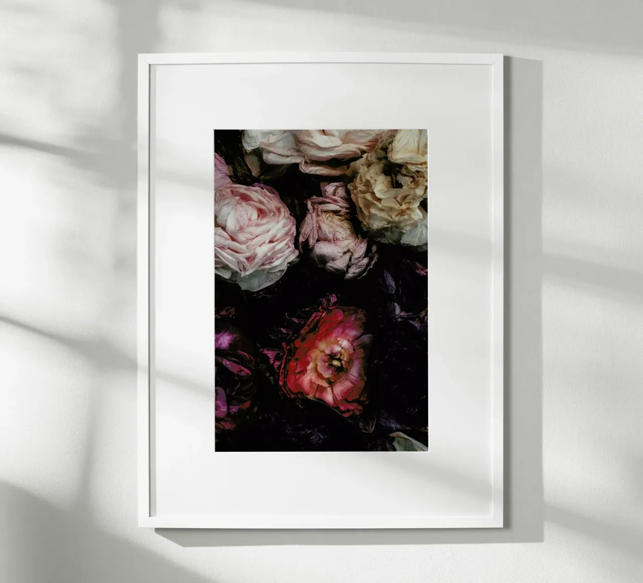 Ranunculus No 11 poster con telaio in plastica da Leigh Viner