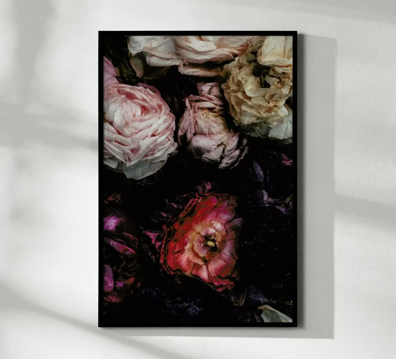 Ranunculus No 11 poster con telaio in plastica da Leigh Viner