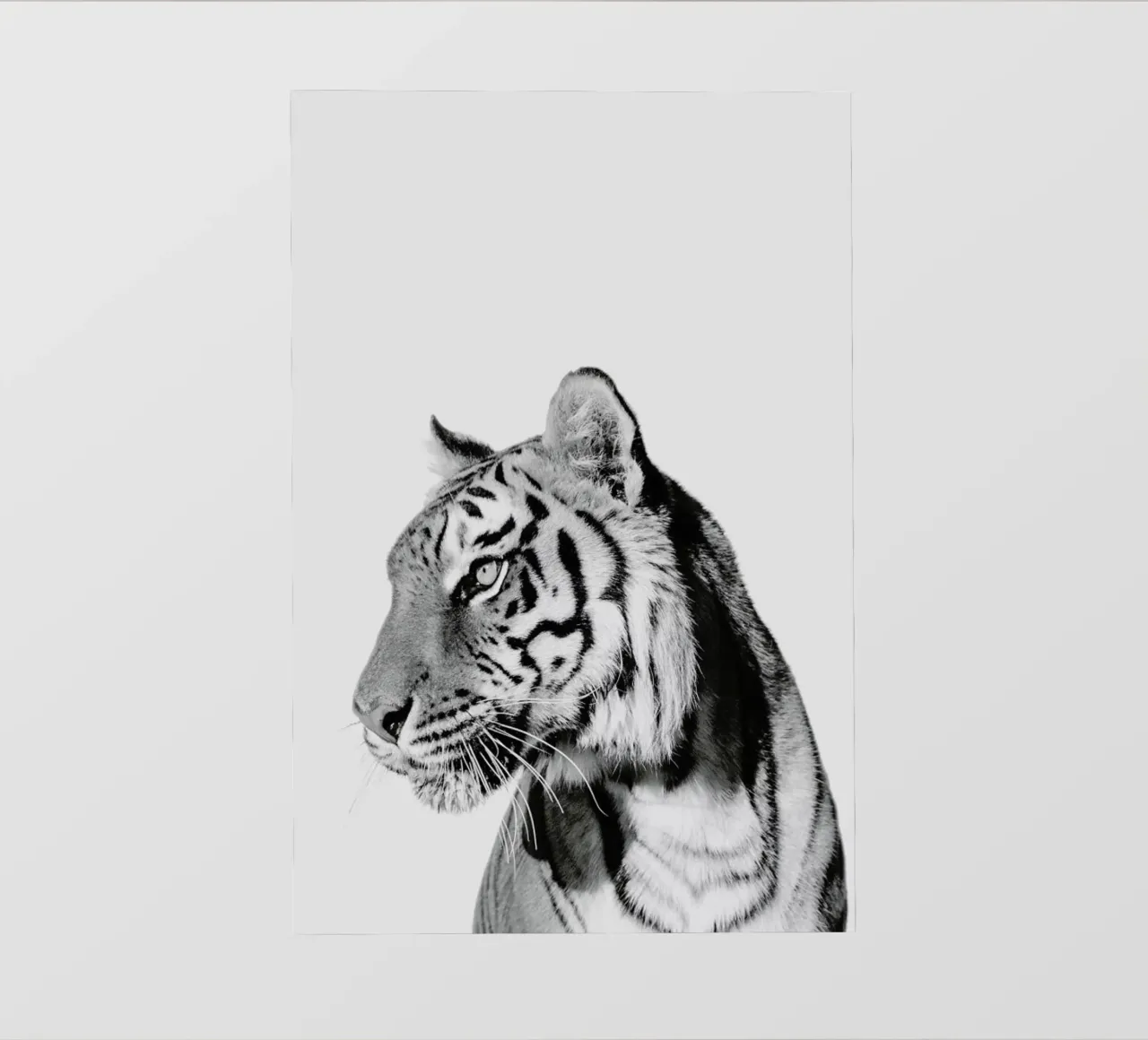 Tiger II telo in pvc da Paws & Claws