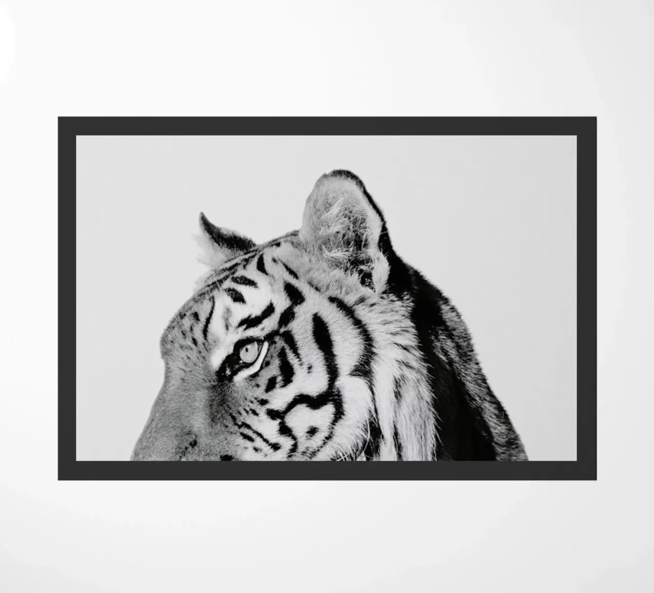 Tiger II zerbino da Paws & Claws