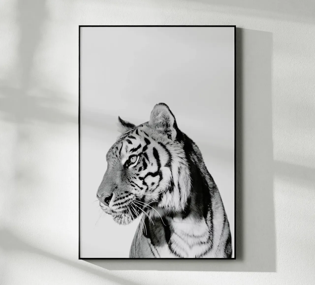 Tiger II plexiglass da Paws & Claws