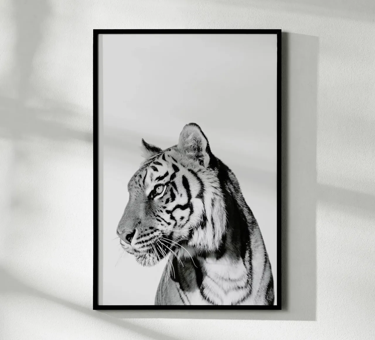 Tiger II poster con telaio in plastica da Paws & Claws