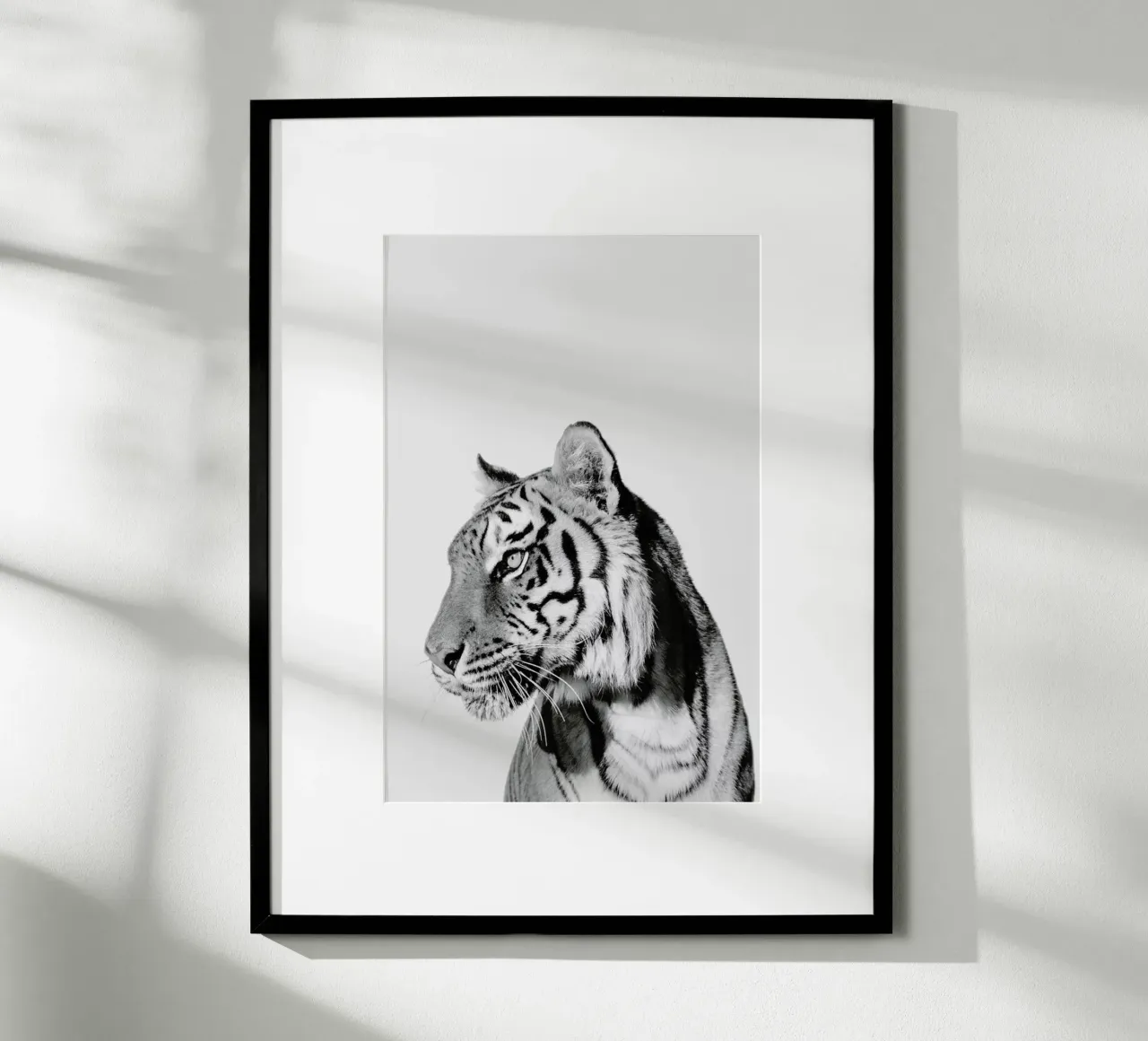 Tiger II poster con telaio in plastica da Paws & Claws