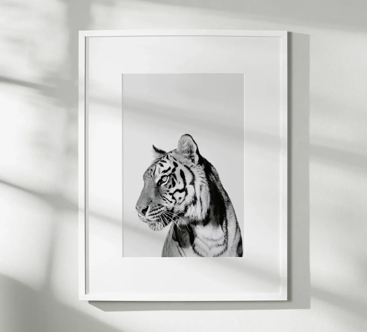 Tiger II poster con telaio in plastica da Paws & Claws