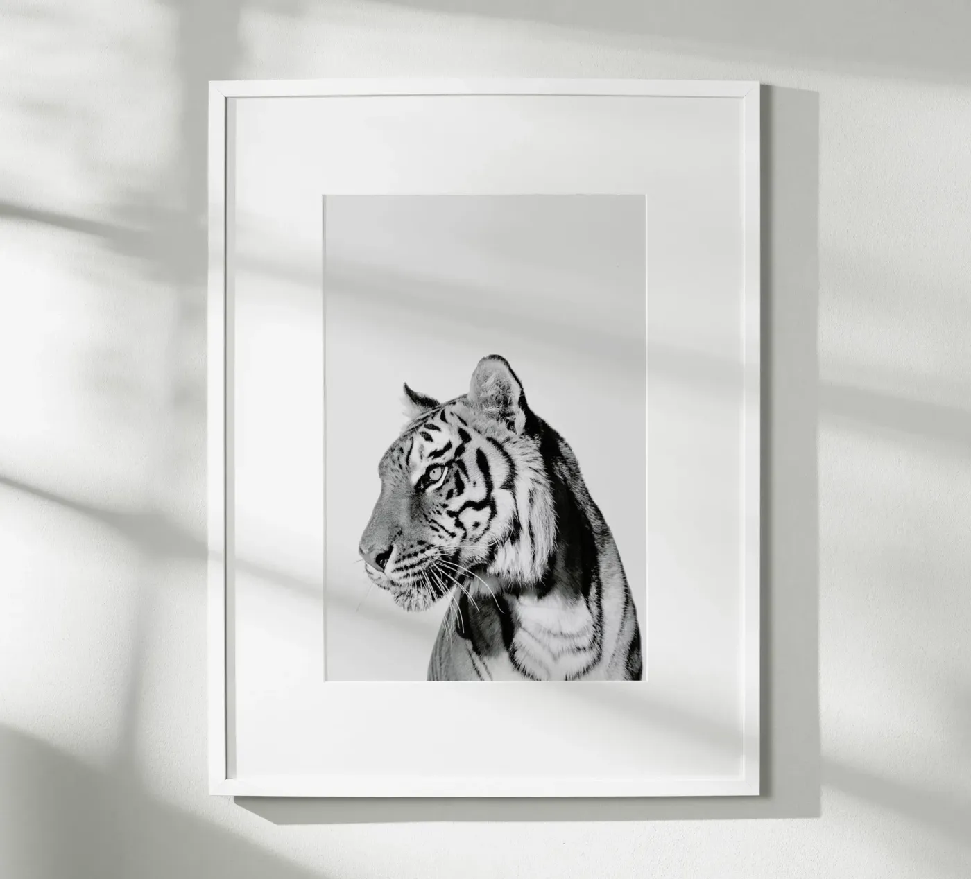 Tiger II poster da Paws & Claws