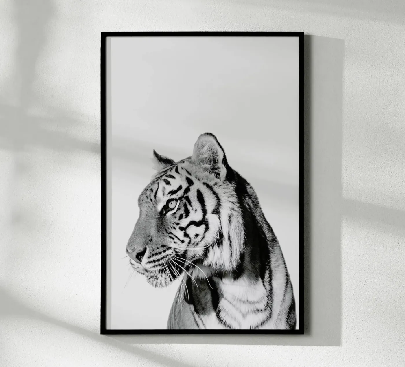 Tiger II poster da Paws & Claws