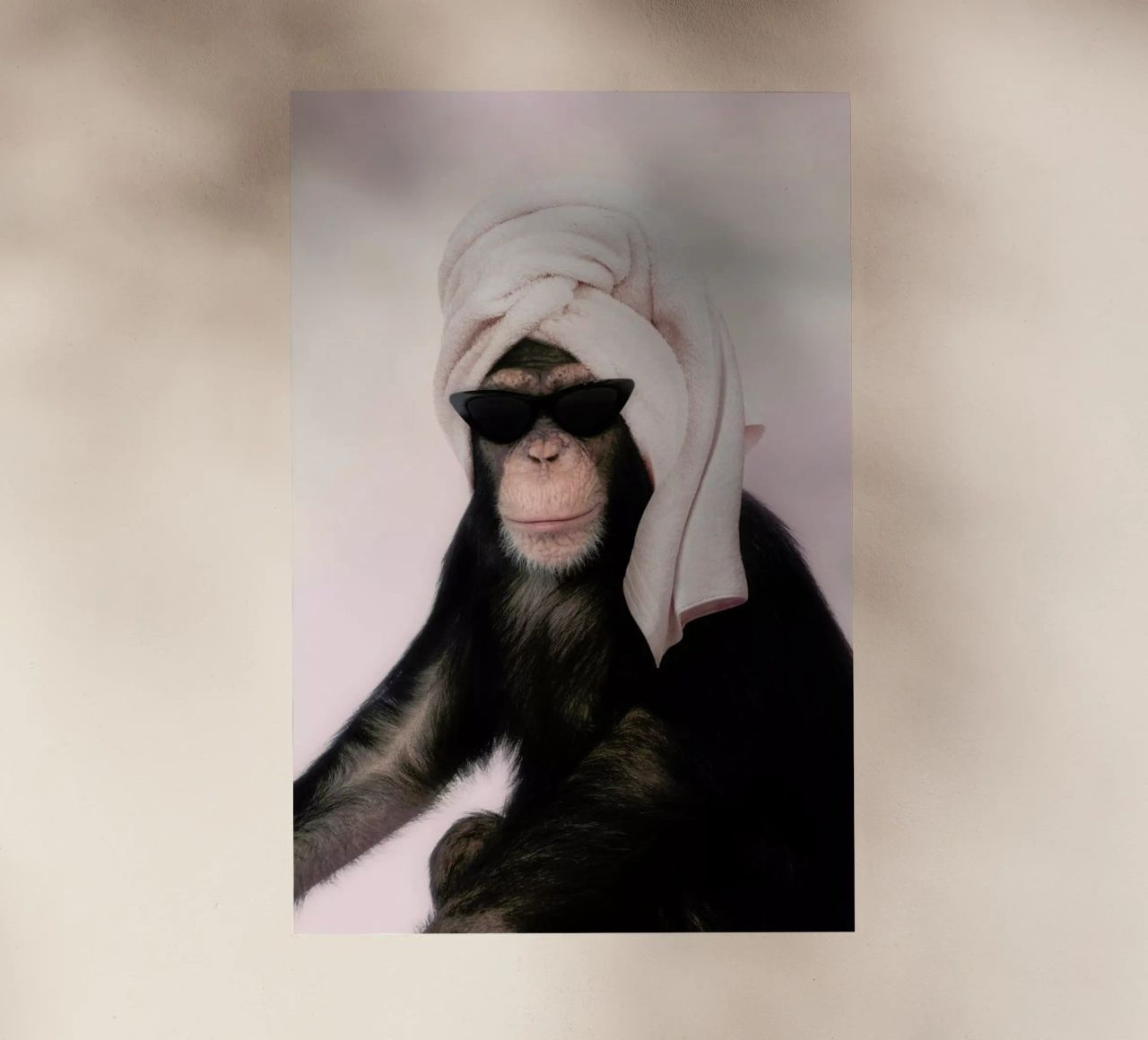 Chimp lámina retroiluminada de Paul Fuentes Design