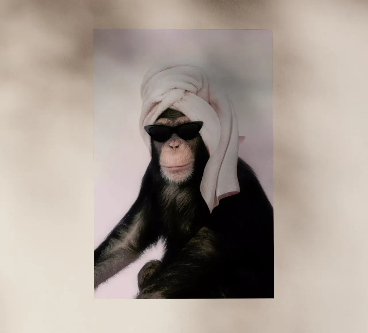 Chimp pellicola backlit da Paul Fuentes Design