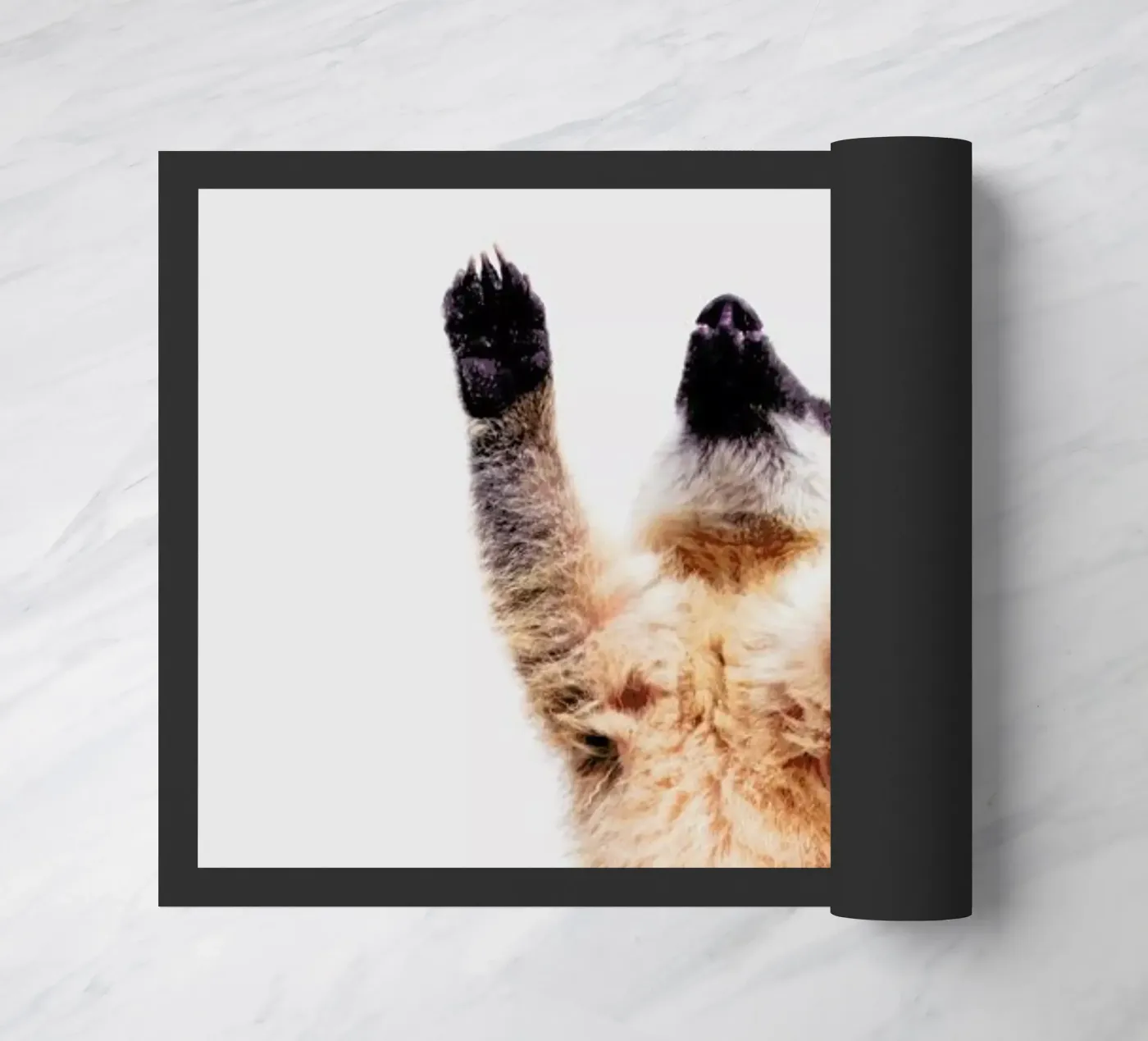 Meerkat zerbino da Paws & Claws