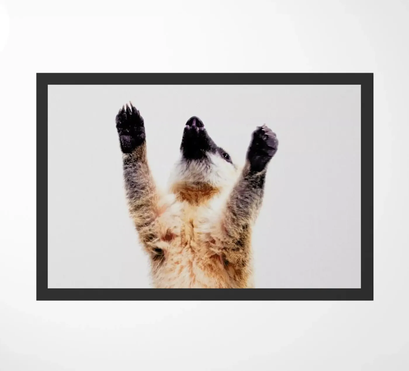 Meerkat zerbino da Paws & Claws